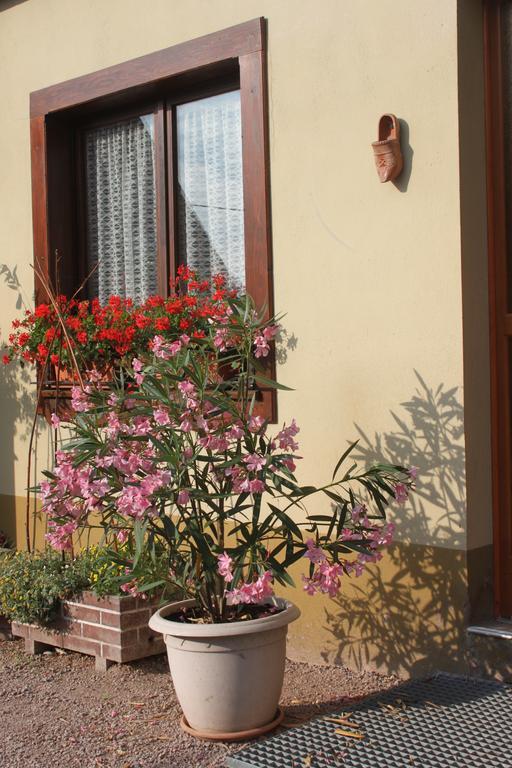 La Maison De Vacances Nothalten Rom bilde